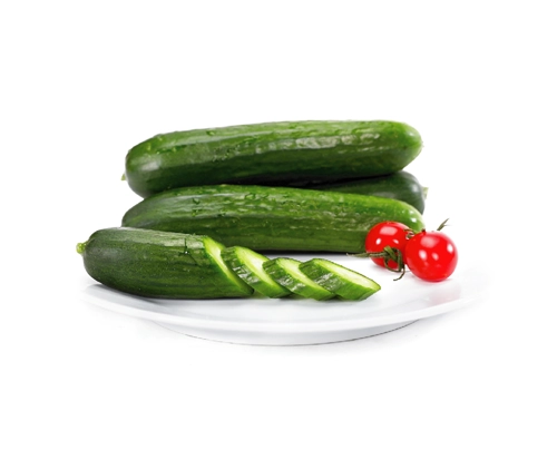黄瓜