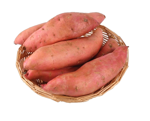 红薯